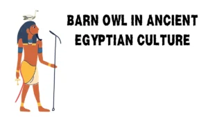 BARN OWL IN ANCIENT EGYPTIAN CULTURE