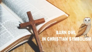 BARN OWL IN CHRISTIAN SYMBOLISM