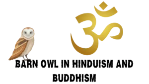 BARN OWL IN HINDUISM AND BUDDHISM